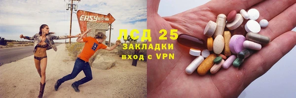 PSILOCYBIN Дмитров