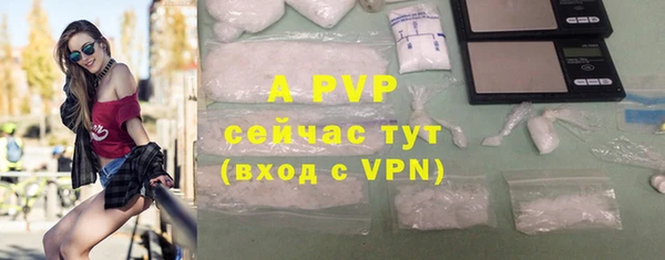 PSILOCYBIN Дмитров