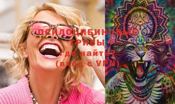 PSILOCYBIN Дмитров