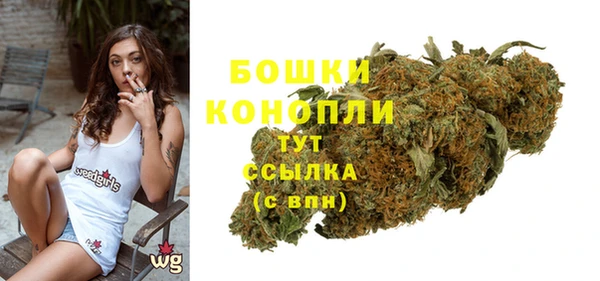 PSILOCYBIN Дмитров