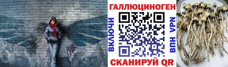 Псилоцибиновые грибы мухоморы  Купить  Сурск 