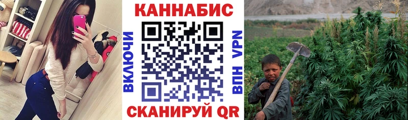 Купить  Сурск  Конопля ГИДРОПОН 